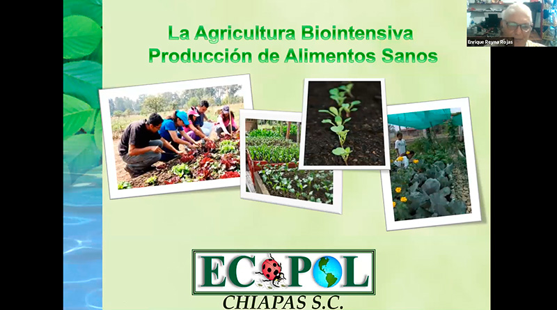 Producción de alimentos sanos (Video) – Consejo Nacional del Pueblo ...