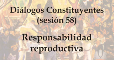 Responsabilidad reproductiva – Diálogo constituyente 58